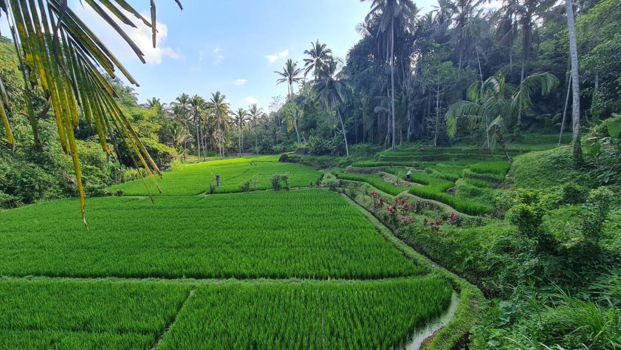 TampaksiringTirta Sari别墅 外观 照片