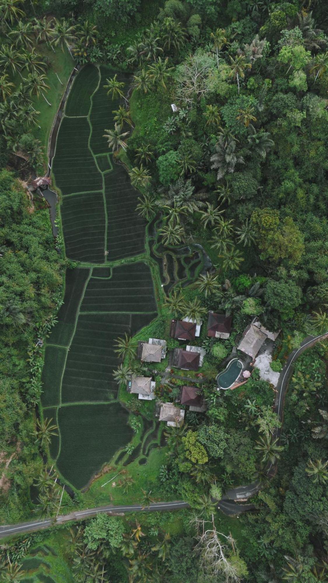 TampaksiringTirta Sari别墅 外观 照片